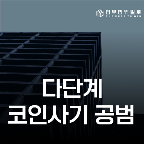 다단계 코인사기 공범, 모집 역할과 범의 판단 기준